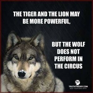 Meet your Posher, Mario